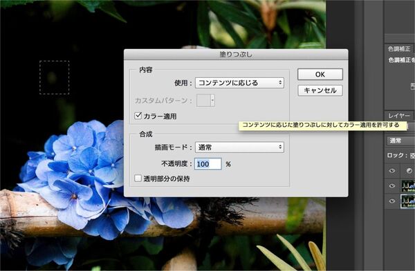 CreativeCloudフォトグラフィプラン