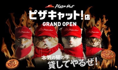 育ちすぎたレタスがエヴァの第7使徒っぽい件 ほか。見出しで楽しむネタ7本