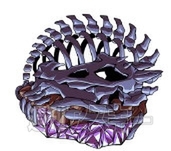 ドラゴンポーカー