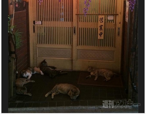 千葉にバットマン……いや、『チバットマン』出現!?ほか。見出しで楽しむネタ6本