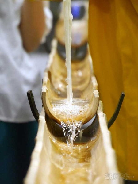 流しそうめん社内コンパ