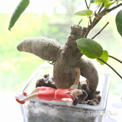 20140905_arai_fuchiko