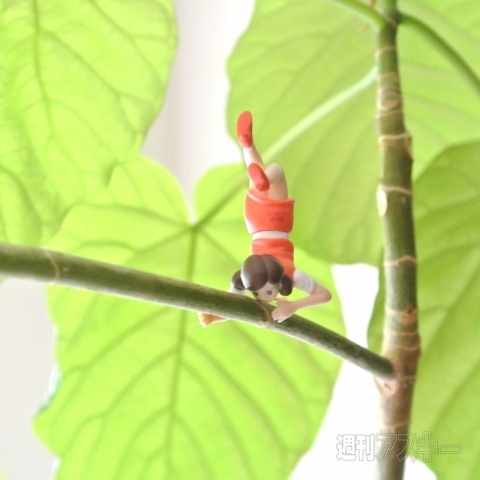 20140905_arai_fuchiko