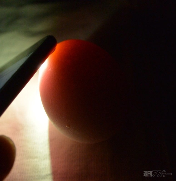 まわしてまわしてまるごとプリン