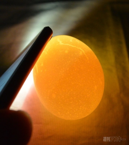 まわしてまわしてまるごとプリン