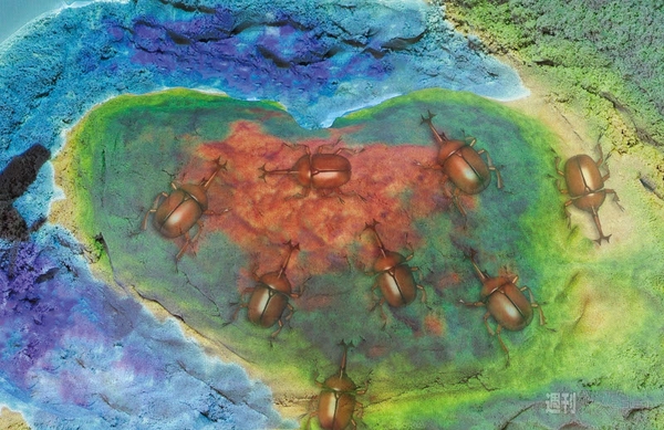 SEGA PRIVATE SHOW 2014 -AUTUMN-