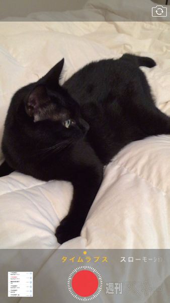 『iPhone6/6 Plusがわかる本