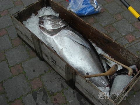 『東京ゲームショウ2014』、六本木ヒルズ『グルメバーガーグランプリ』開催：今日は何の日