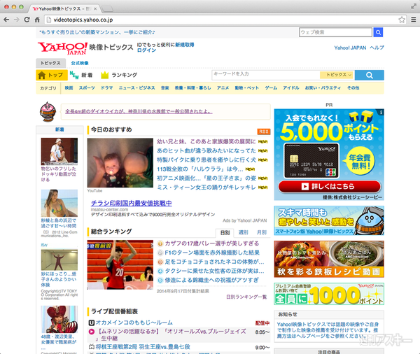 秋のネット動画