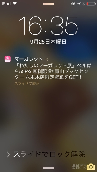 わたしのマーガレット展