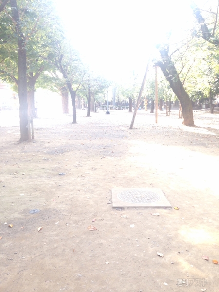 20141003_arai_camera8