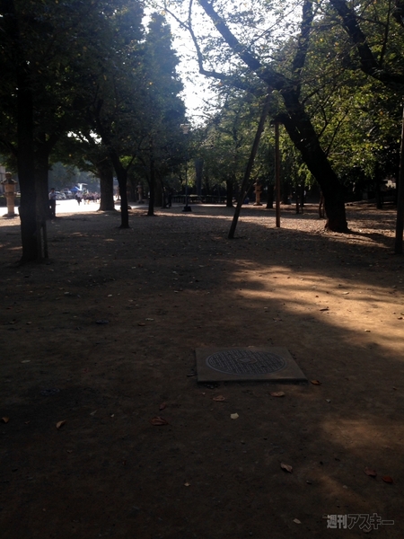 20141003_arai_camera8