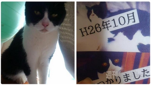 日本でもぜひ！香港限定『バットマンハンバーガー』がスゴい ほか。見出しで楽しむネタ7本