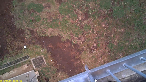 DIYちっちゃい組み込み式カメラ