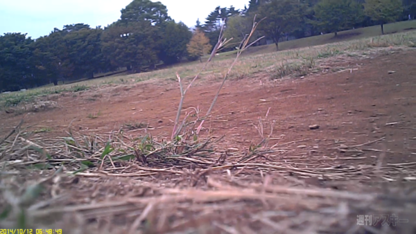 DIYちっちゃい組み込み式カメラ