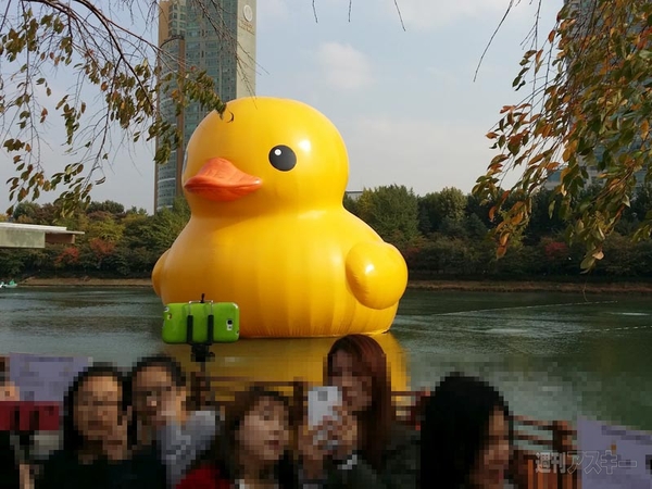 ラバーダック・プロジェクト