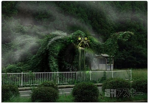 異彩を放つほど力作なトイプードルのキャラ弁！ほか。見出しで楽しむネタ6本