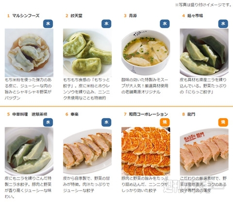 どの餃子でも1皿（3個）100円『宇都宮餃子祭り2014』開催：今日は何の日