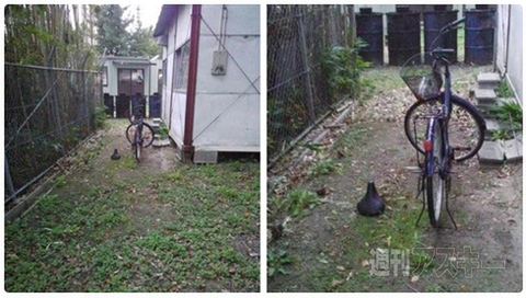 「となりのトトロのサツキのお弁当」を再現した学校給食!?ほか。見出しで楽しむネタ7本