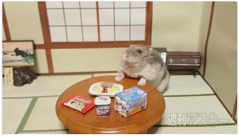 「となりのトトロのサツキのお弁当」を再現した学校給食!?ほか。見出しで楽しむネタ7本