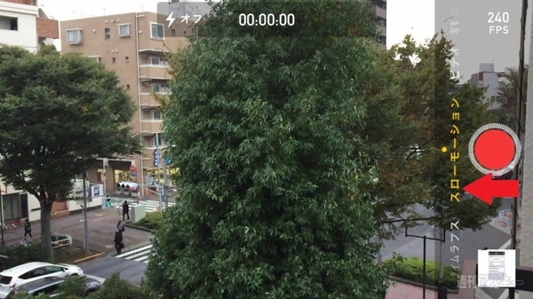 ドーナツ・セルフィー