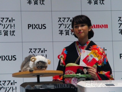 ブサかわ猫ちゃん