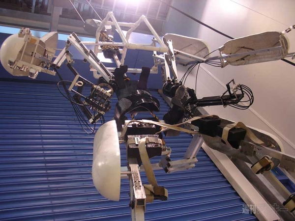 スケルトニクス