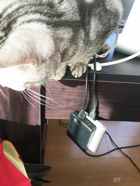 FNTE MONITORMATE Prostation 3.0