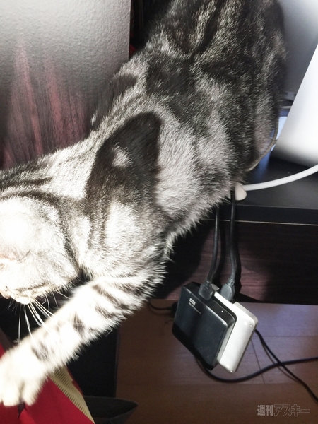 FNTE MONITORMATE Prostation 3.0