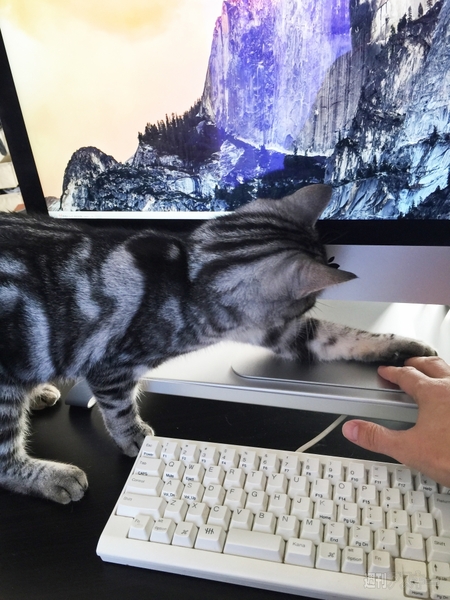 FNTE MONITORMATE Prostation 3.0