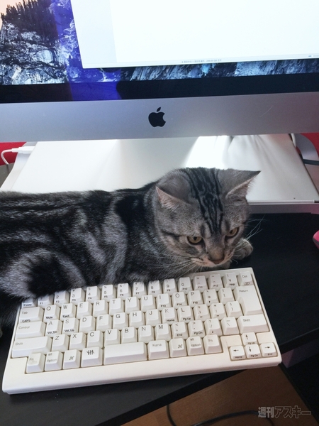 FNTE MONITORMATE Prostation 3.0