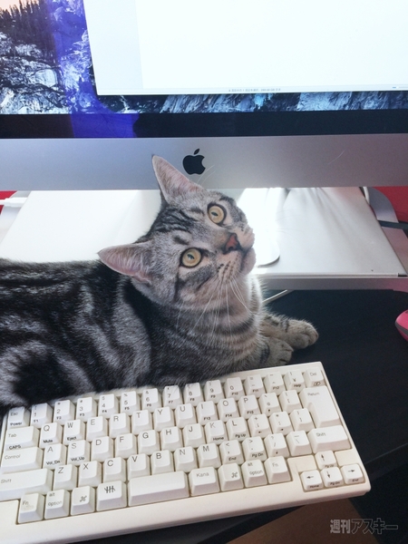 FNTE MONITORMATE Prostation 3.0