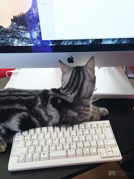 FNTE MONITORMATE Prostation 3.0