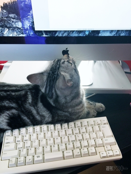 FNTE MONITORMATE Prostation 3.0