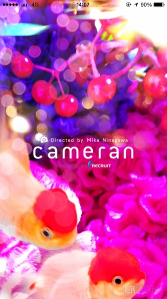 プレミアムロールケーキ