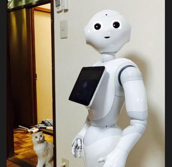 ロボット「Pepper」が家にやってきたときのネコの反応が話題に！ほか。見出しで楽しむネタ6本