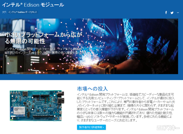 池澤あやかの自由研究