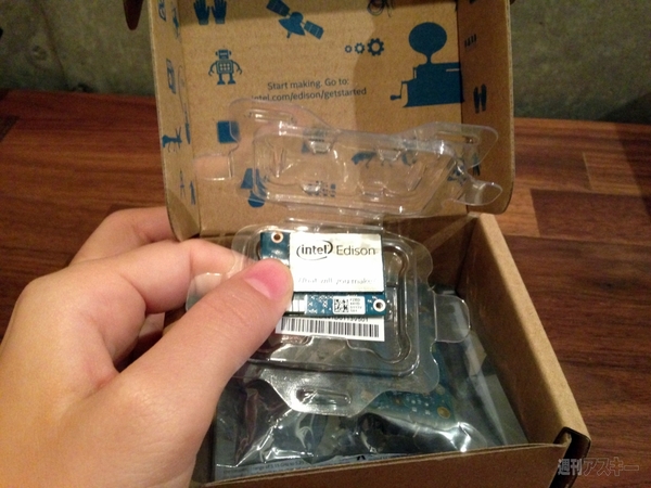 池澤あやかの自由研究