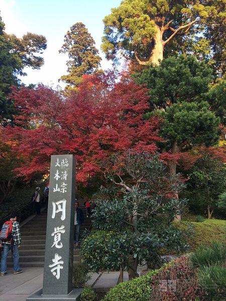 20141203runtasticdocomo