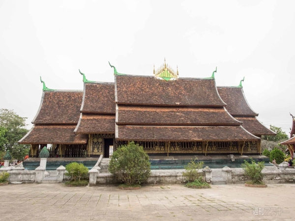 【SIMフリースマホと海外ぶらり旅】サトル、象使いになるの巻