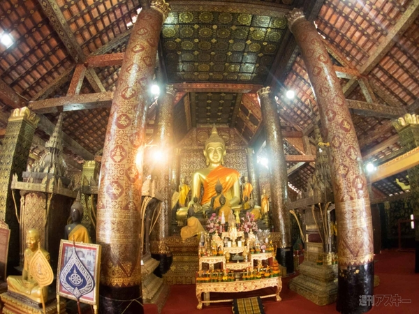 【SIMフリースマホと海外ぶらり旅】サトル、象使いになるの巻