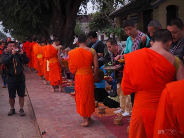 【SIMフリースマホと海外ぶらり旅】サトル、象使いになるの巻