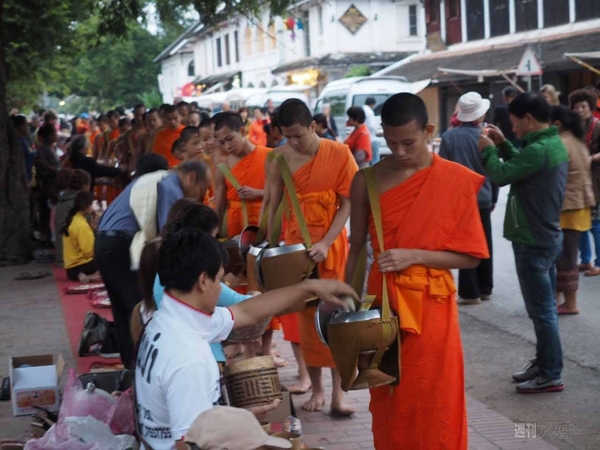 【SIMフリースマホと海外ぶらり旅】サトル、象使いになるの巻