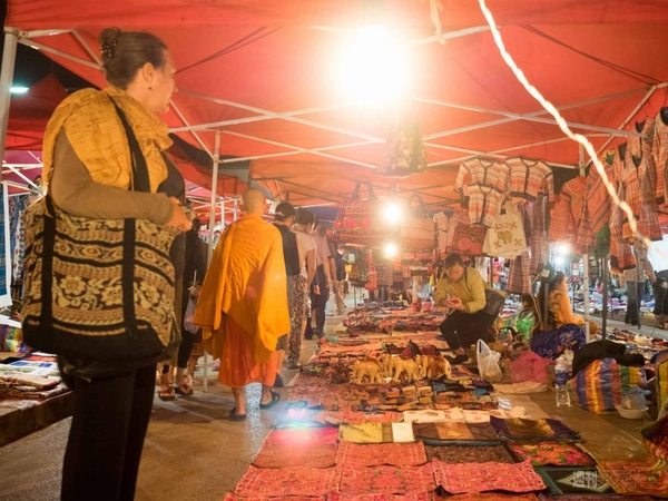 【SIMフリースマホと海外ぶらり旅】サトル、象使いになるの巻