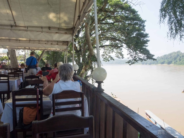 【SIMフリースマホと海外ぶらり旅】サトル、象使いになるの巻