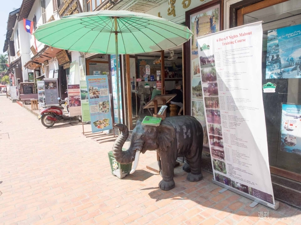 【SIMフリースマホと海外ぶらり旅】サトル、象使いになるの巻