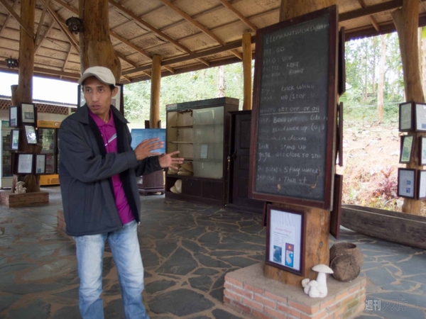 【SIMフリースマホと海外ぶらり旅】サトル、象使いになるの巻