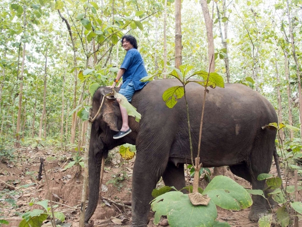 【SIMフリースマホと海外ぶらり旅】サトル、象使いになるの巻