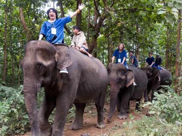 【SIMフリースマホと海外ぶらり旅】サトル、象使いになるの巻