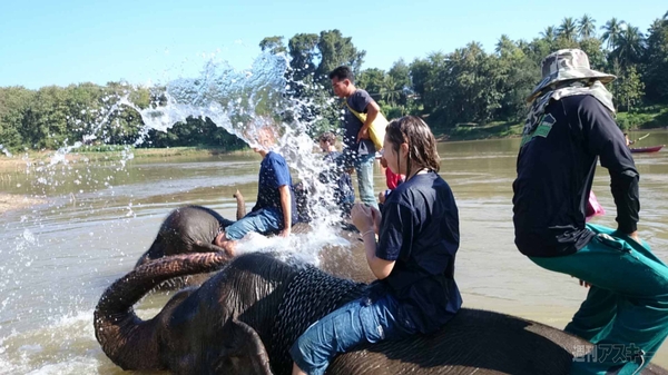 【SIMフリースマホと海外ぶらり旅】サトル、象使いになるの巻